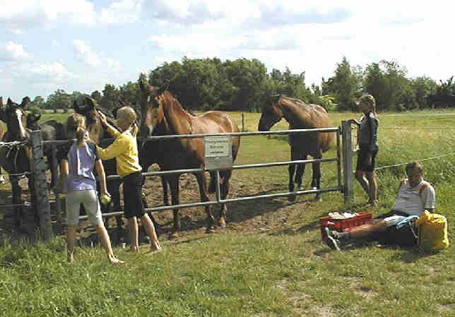 Ende der Wanderfaht
