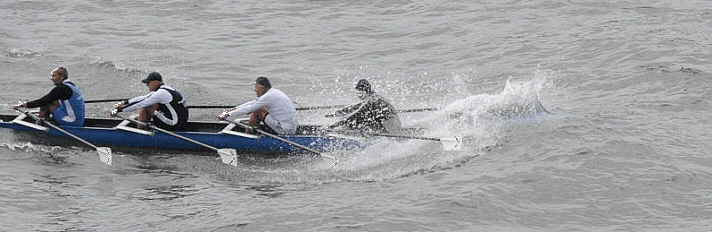 11Rhein